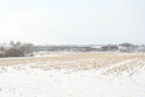 2009-02-22.5910.Breslau.jpg